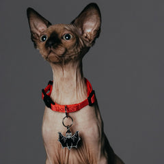 PET TAG