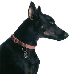 PET TAG