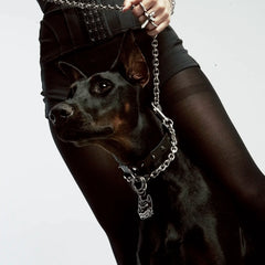 PET TAG