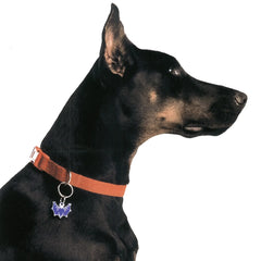 PET TAG