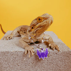 PET TAG
