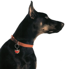PET TAG