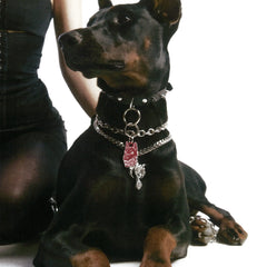 PET TAG