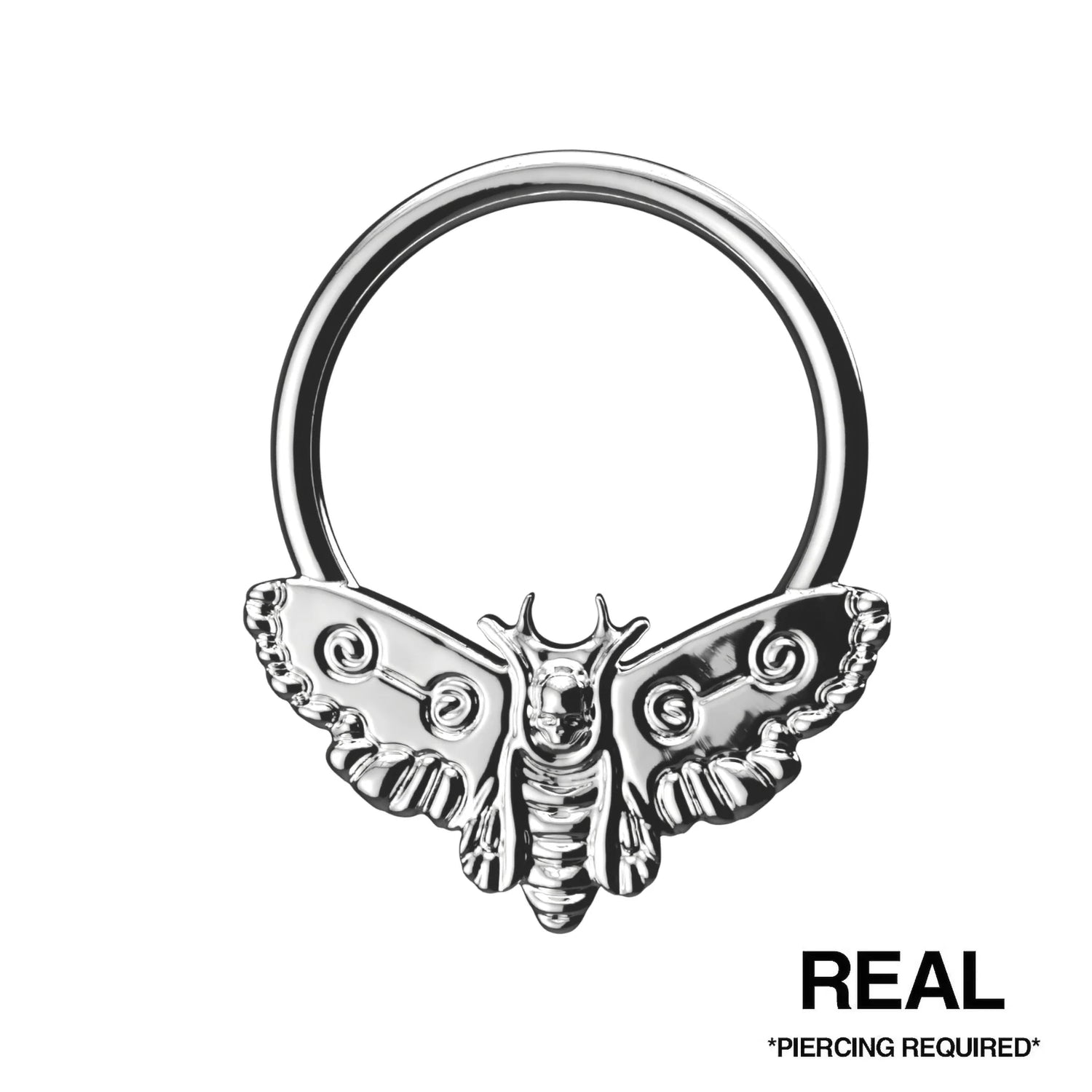 MOTH SEPTUM