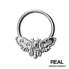 MOTH SEPTUM