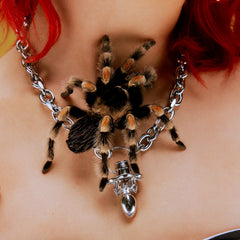 SPIDER PACIFIER CHAIN