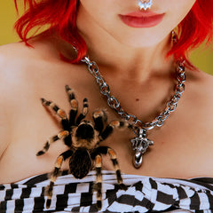 SPIDER PACIFIER CHAIN