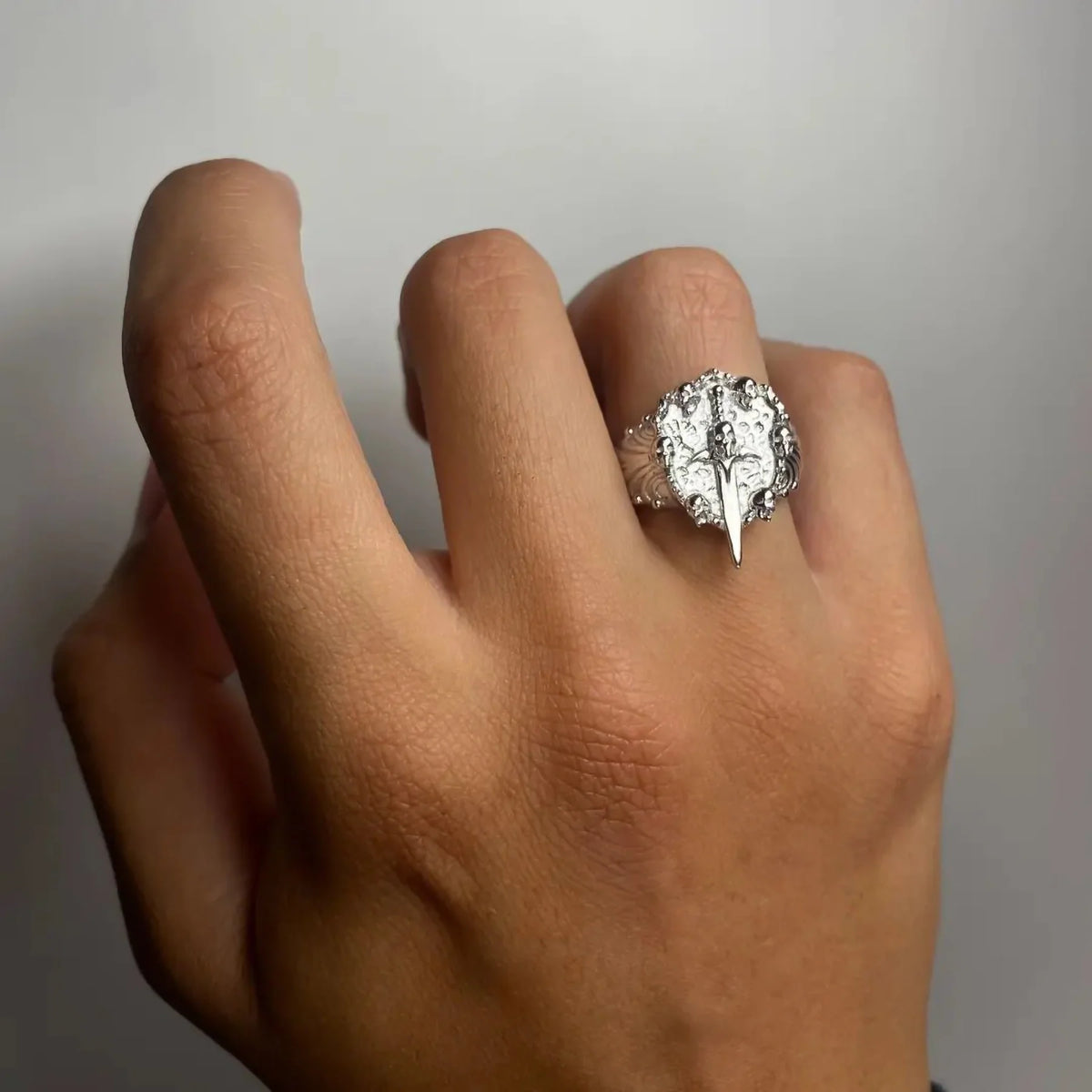 SWORD & SHIELD RING