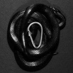 OUROBOROS CARABINER