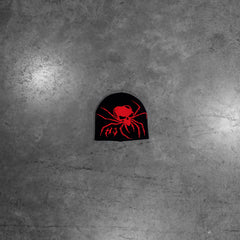 SPIDER BEANIE
